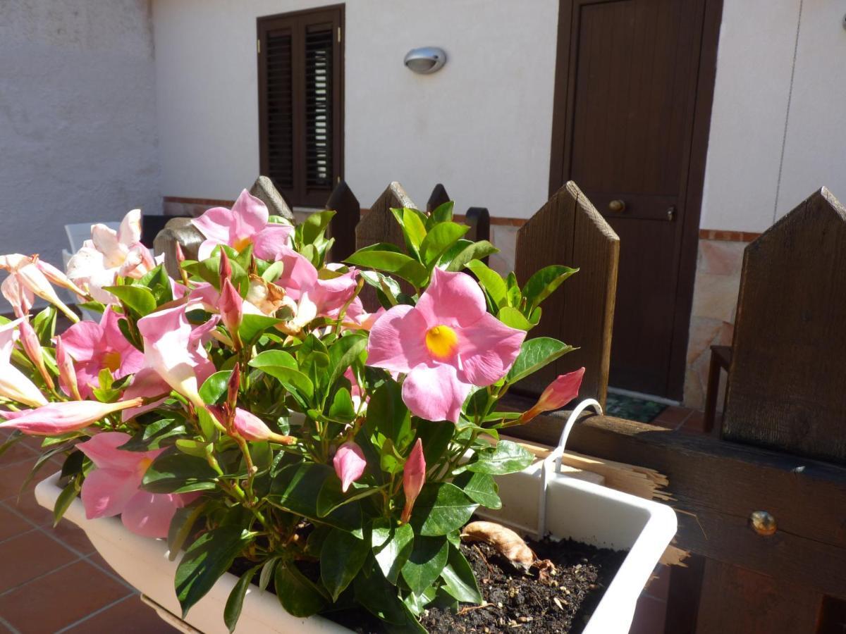 Villa Rosa Luxury Apartment Mondello Exterior foto